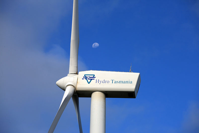 woolnorth wind farm tours